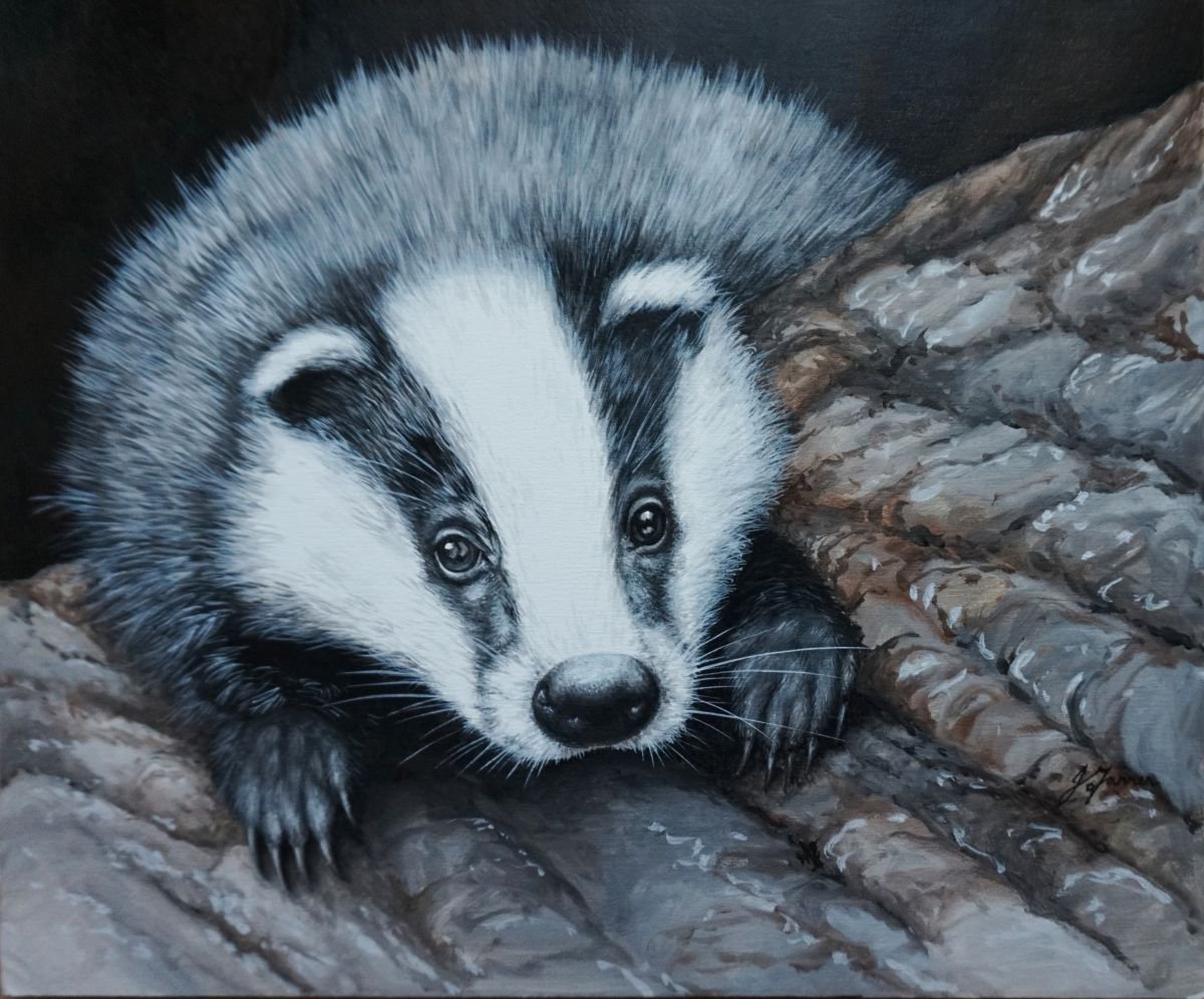 Peeping Badger 12x10 inch 190 by Jayne Farrer