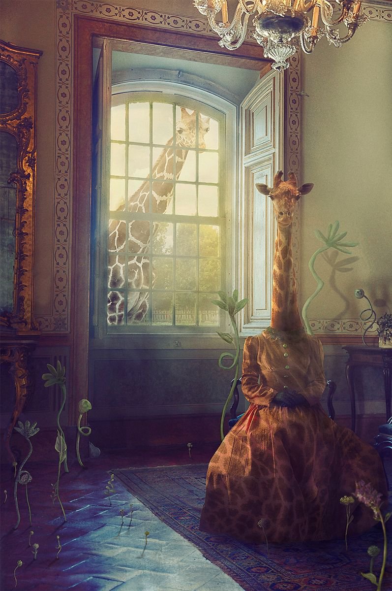 High Hopes by Nikolina Petolas