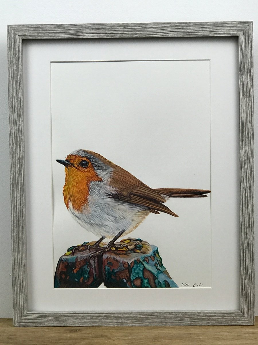 Little Robin by Irsa Ervin
