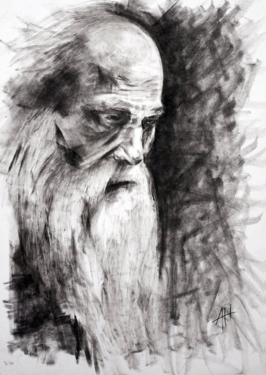 Noah by AH Image Maker