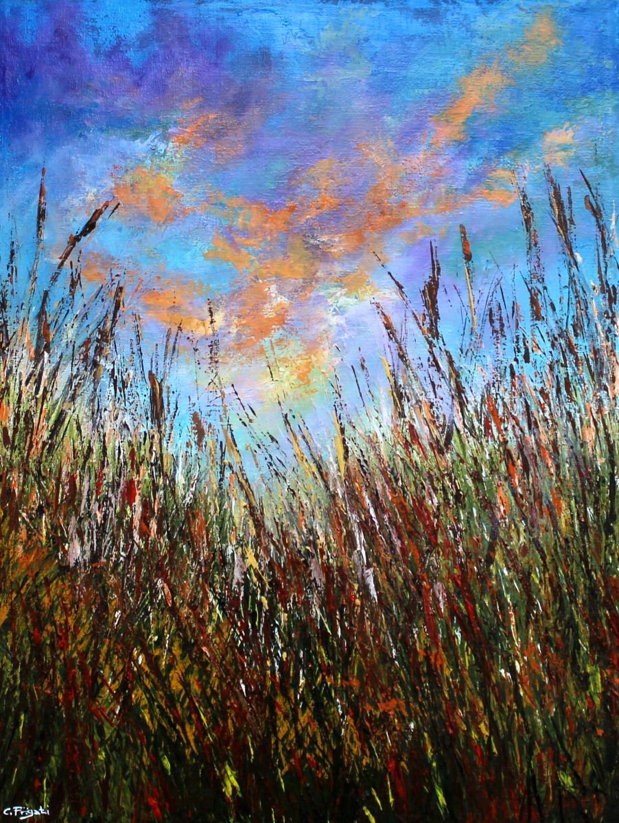 Go Wild by Cecilia Frigati