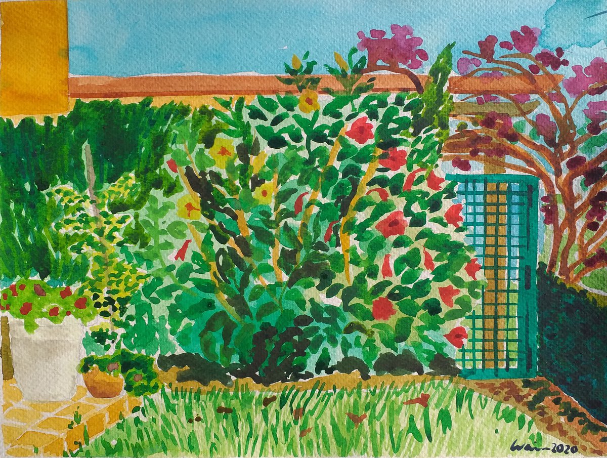 Hibiscus by Kirsty Wain