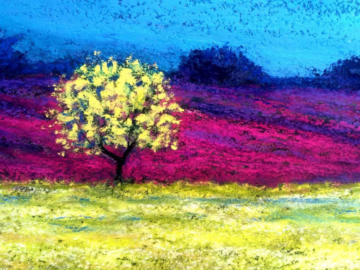 Dawn sky over the flower field by Anna Aboskalova