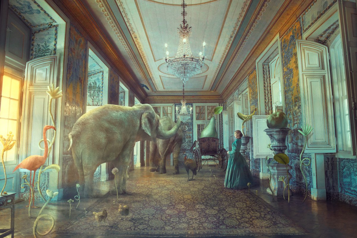 Bedtime Stories by Nikolina Petolas