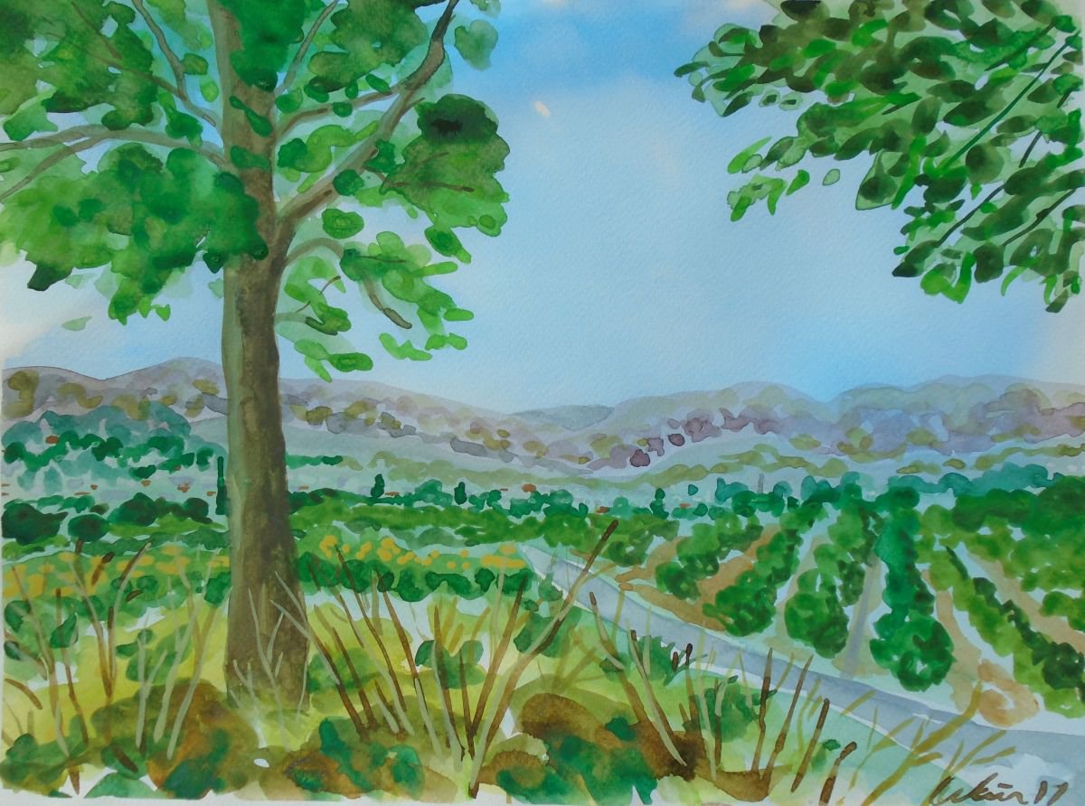 Ribera Alta Countryside by Kirsty Wain