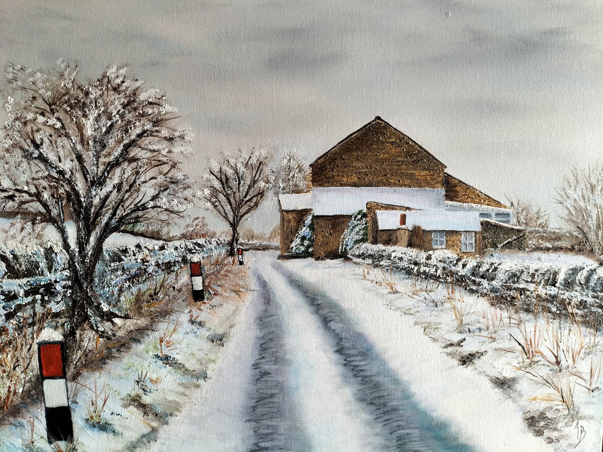 A winters Day by Aileen Barnard