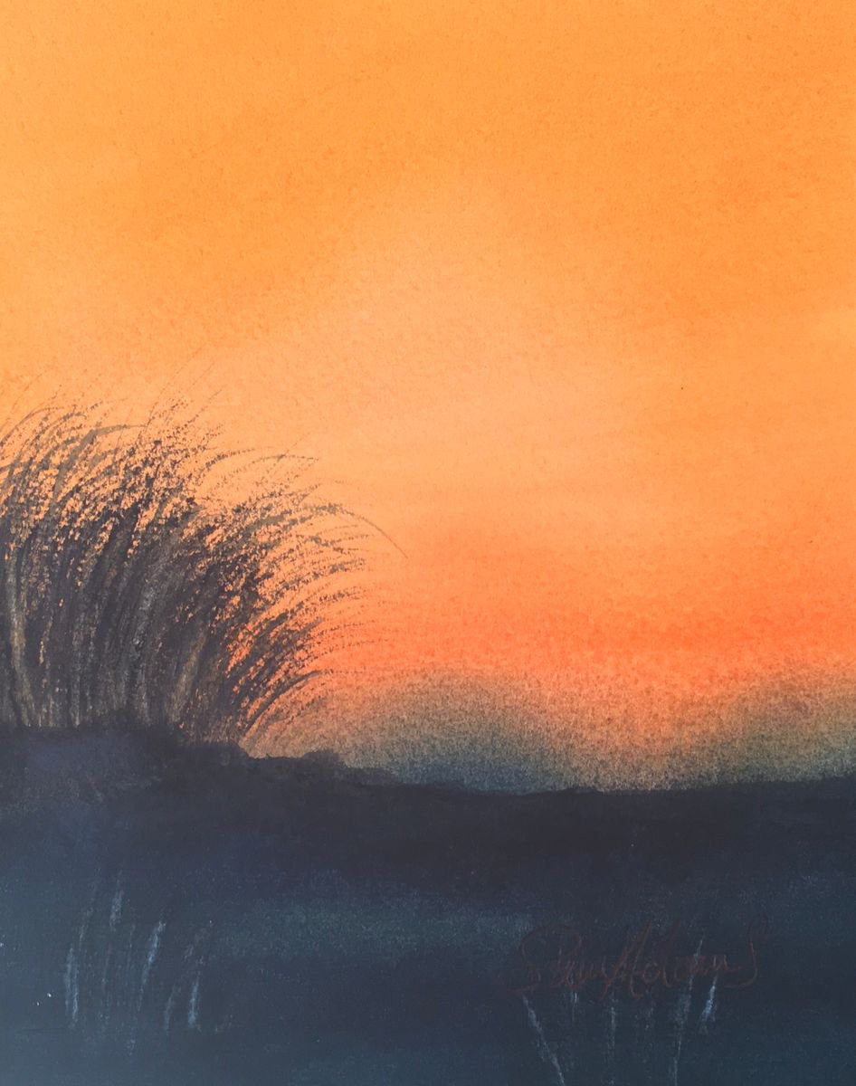 Brilliant orange by Samantha Adams