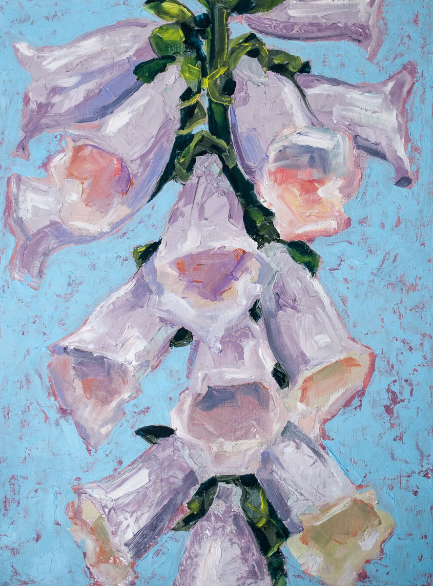 Foxglove (Digitalis) by AH Image Maker