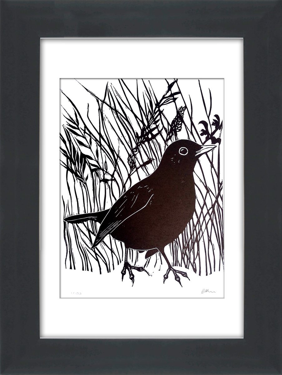 Blackbird linoprint by Carolynne Coulson