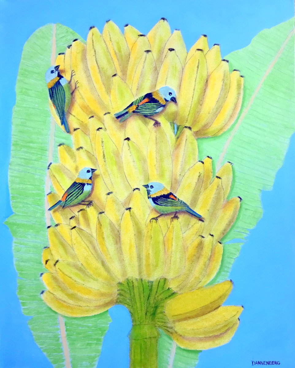 BIRDS OF A FEATHER, BRAZIL by Leslie Dannenberg