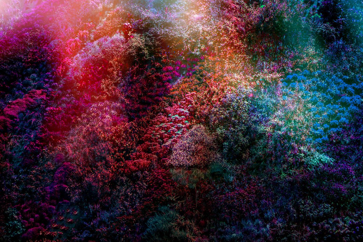 Wall of Nature XII (Small Edition) by Viet Ha Tran