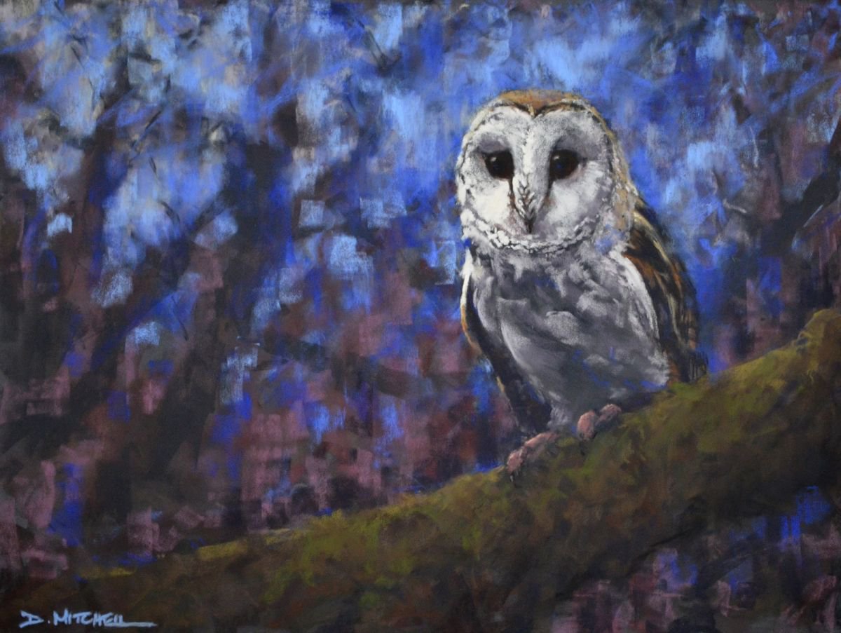 Dark Eyes by Denise Mitchell
