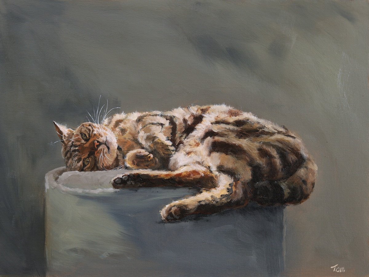 Cat by Tom Clay