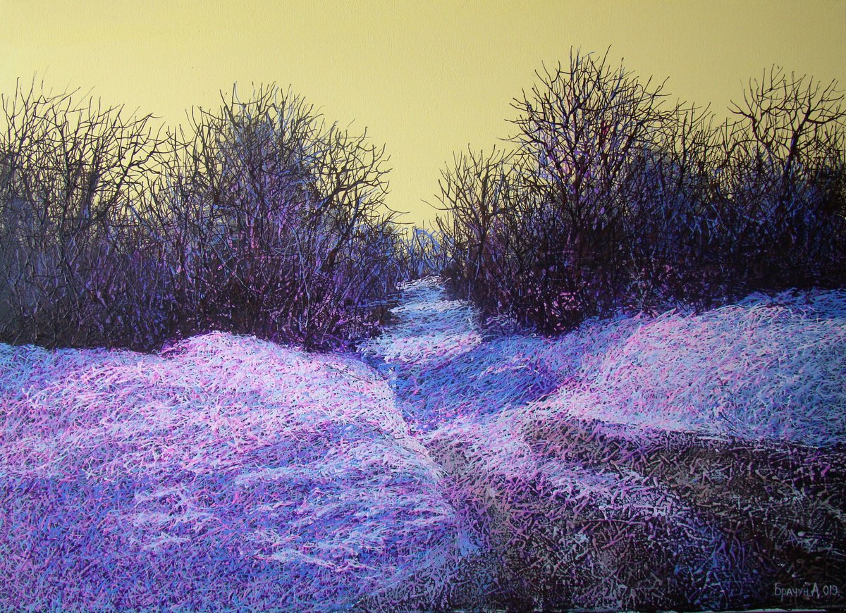 The colors of the winter forest by Andrii Brachun