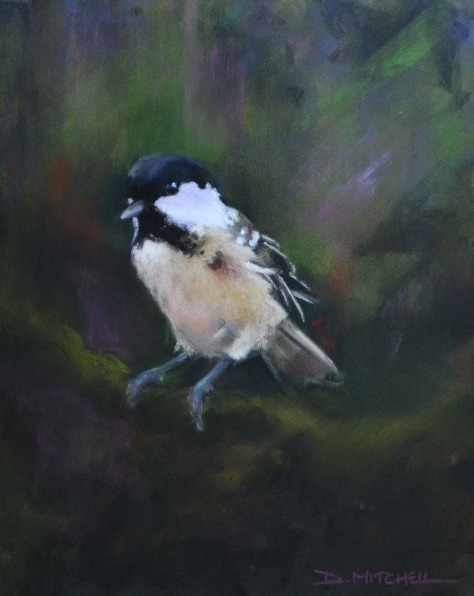 Curiosity by Denise Mitchell
