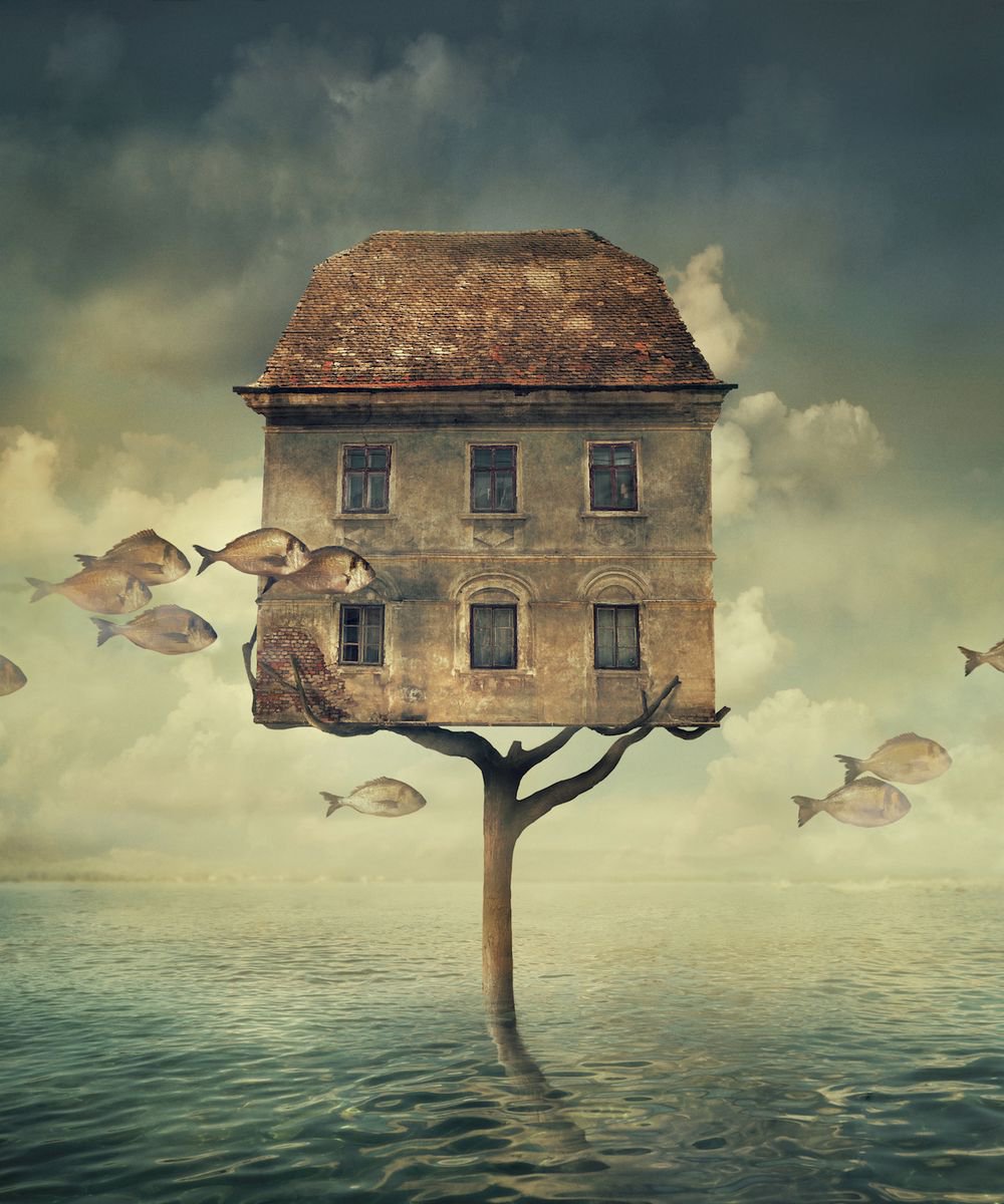 Journey by Nikolina Petolas