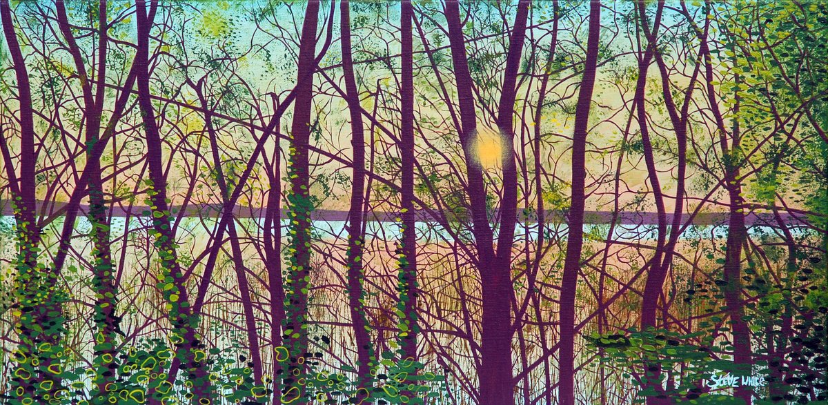 Sunset Over The Lake by Steve White