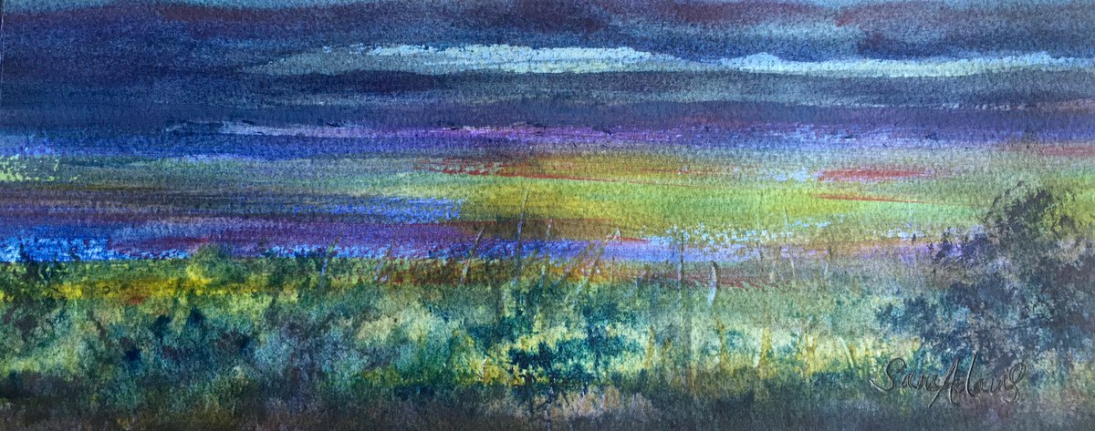 Sky and heath of many colours by Samantha Adams