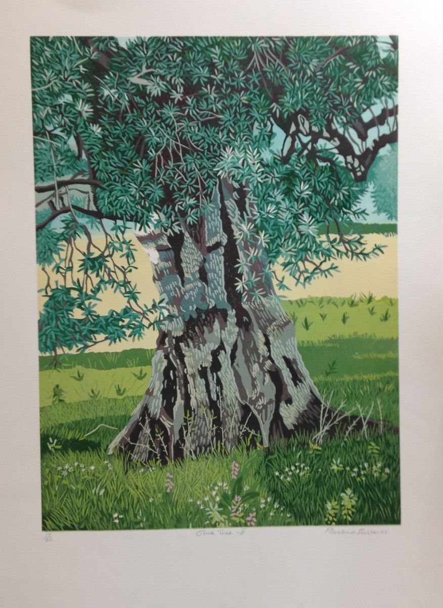 Olive Tree II by Rosalind Forster