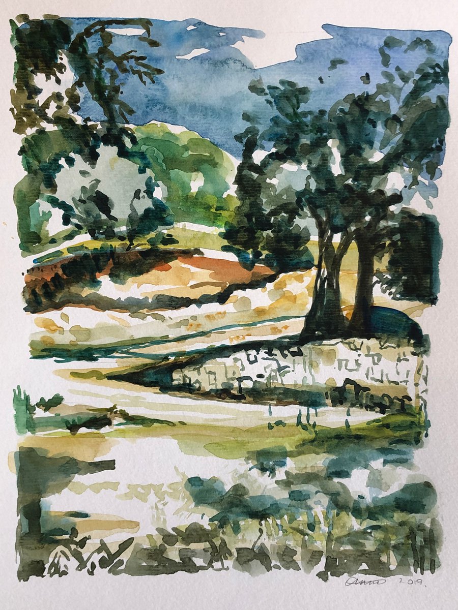 Olive terraces, Greece by Annie Meier