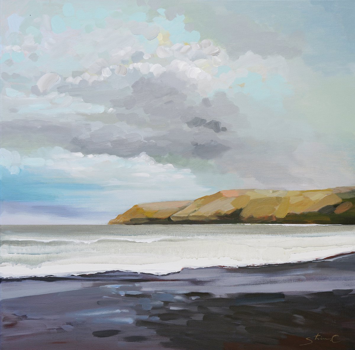 Black Sand Beach Under A Cloudy Sky by Shina Choi
