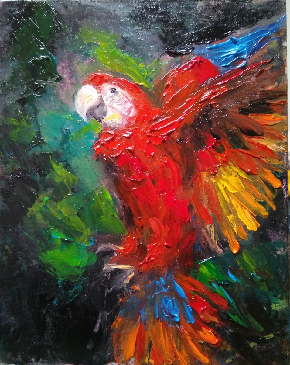 Flying ?arrot by HELINDA (Olga Muller)