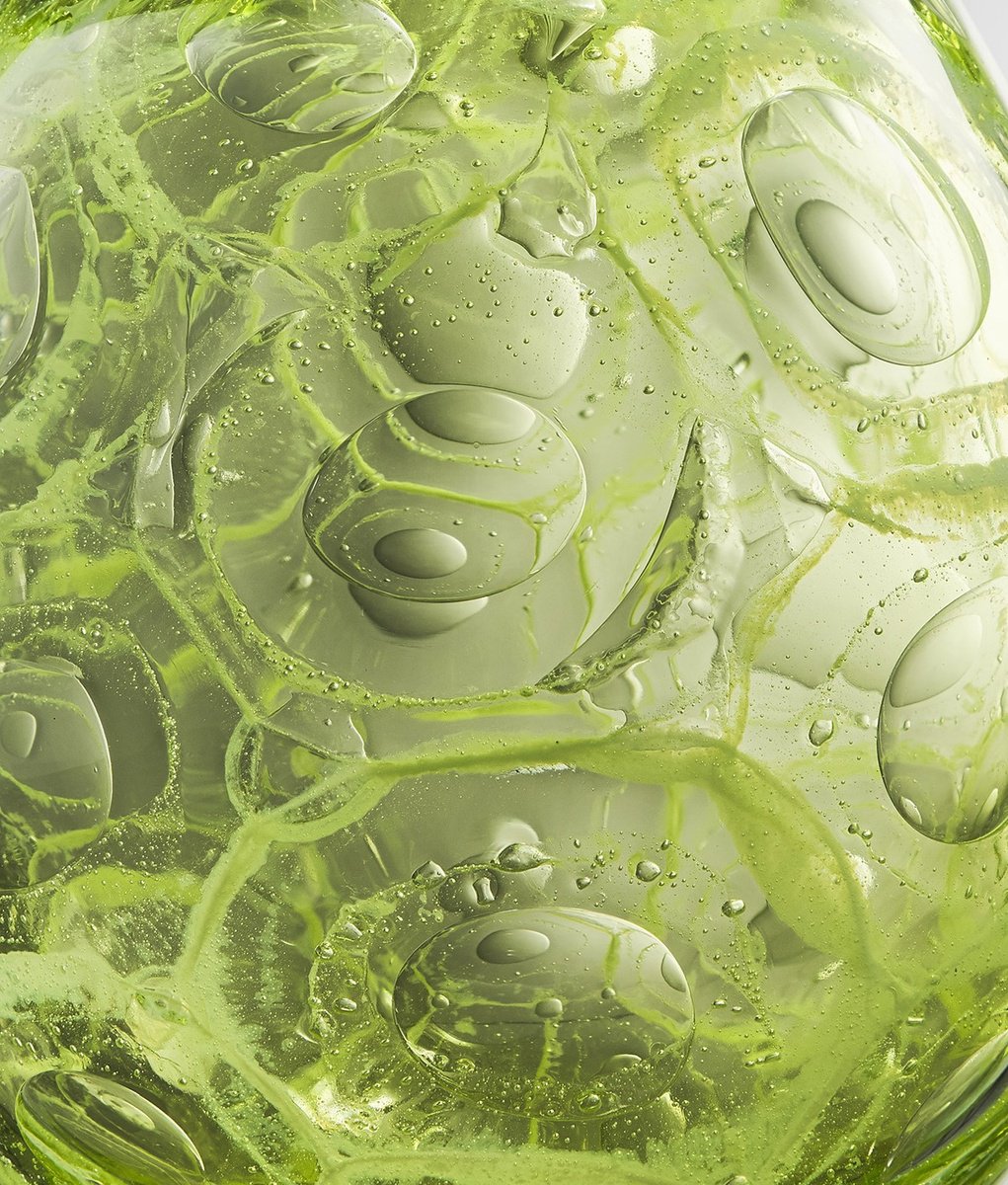 Porifera Green by Roberta Mason