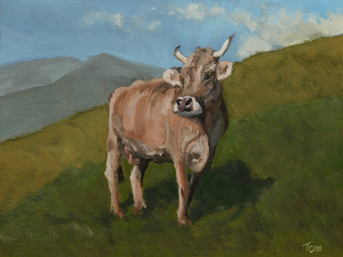 Swiss Brown Cow on hillside by Tom Clay
