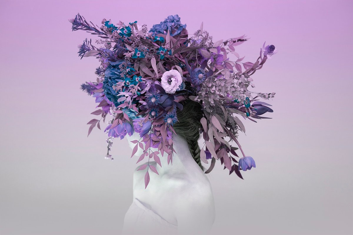 lavender vibe by Ziesook You