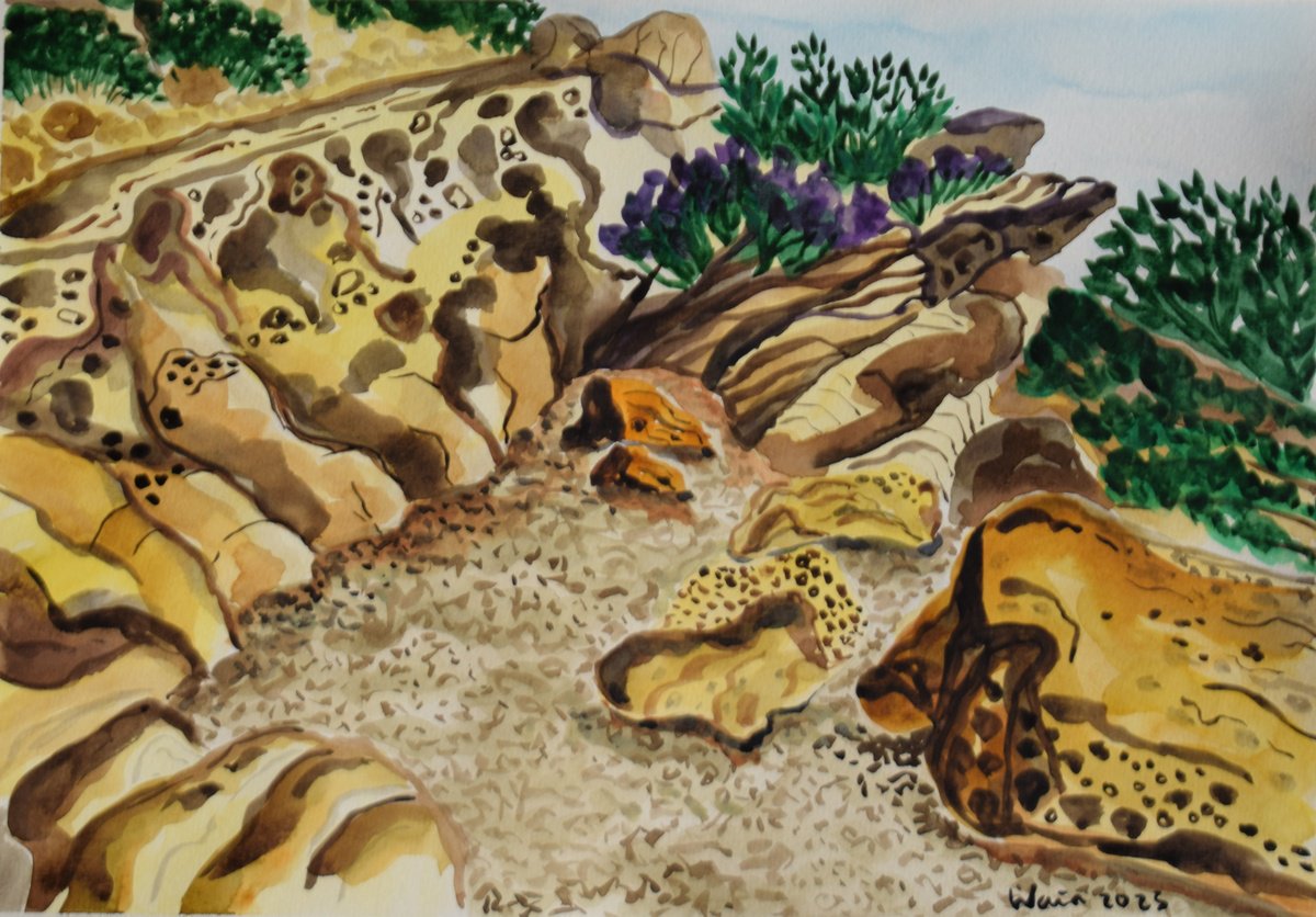 Rocky beach at Playa Sardina by Kirsty Wain