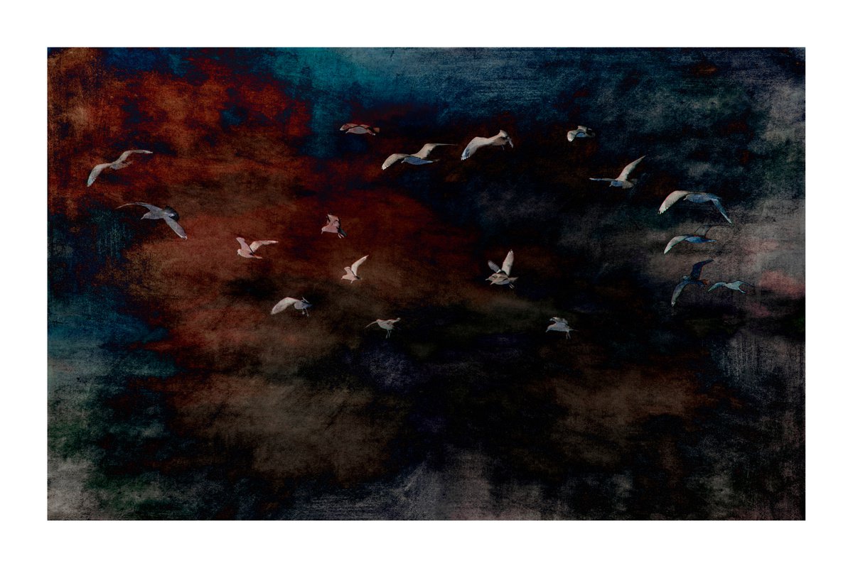 Flight, No.1 - 18 x 12 - After Series by Brooke T Ryan