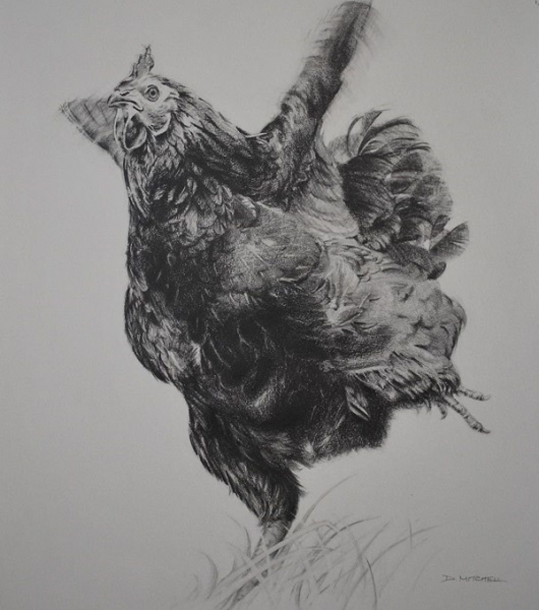 Having A Bit Of A Flap (Framed, ready to hang) by Denise Mitchell