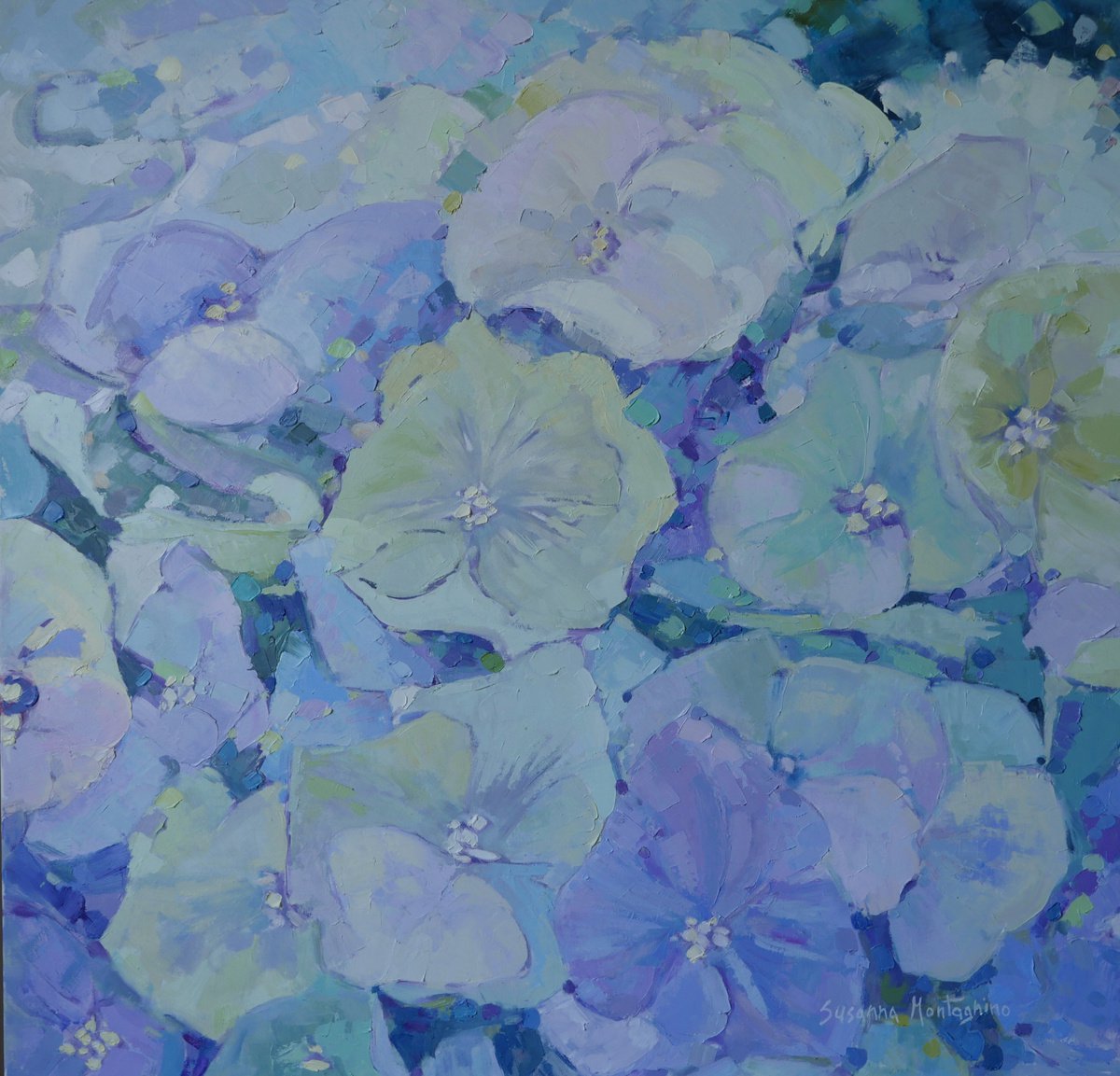 Hydrangea by Susanna Montagnino
