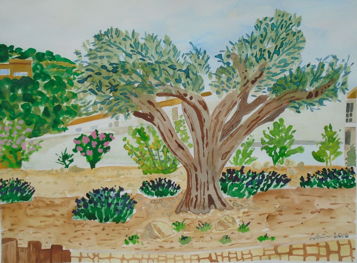Garden Olive tree by Kirsty Wain