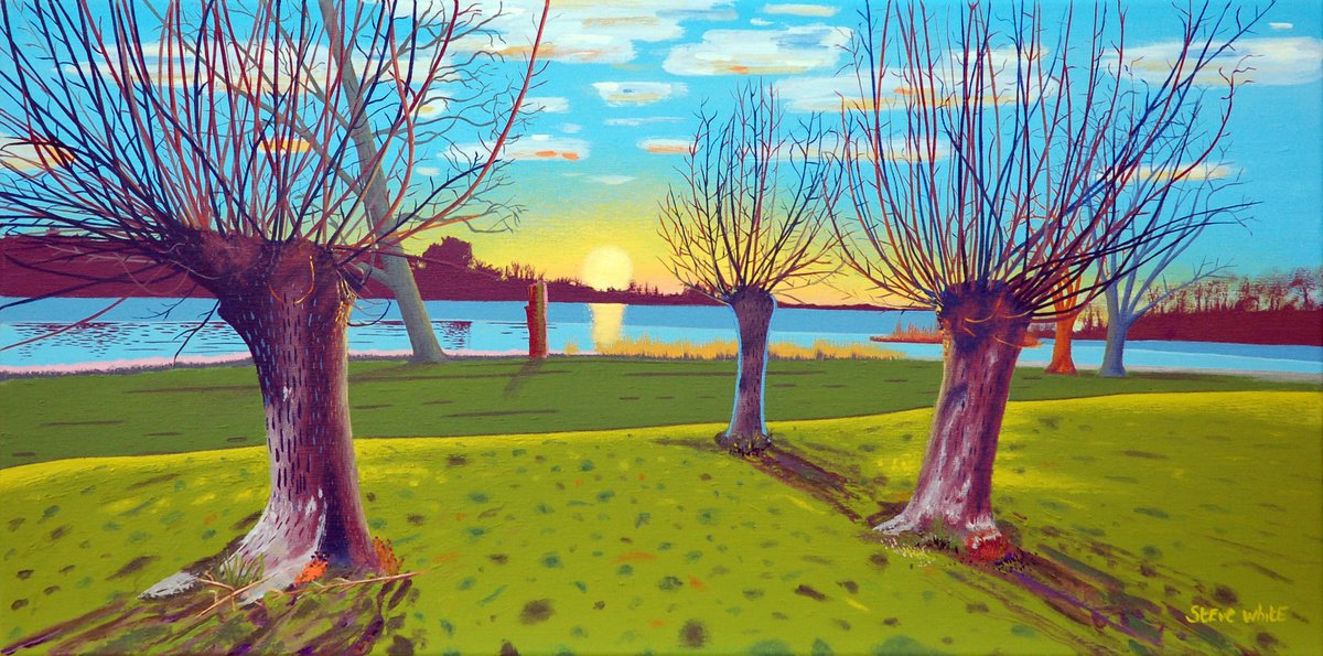 Winter In The Park by Steve White