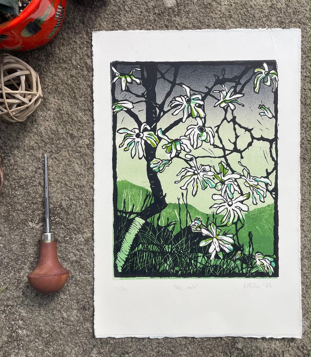 The Melt - Magnolia Linocut by C Staunton