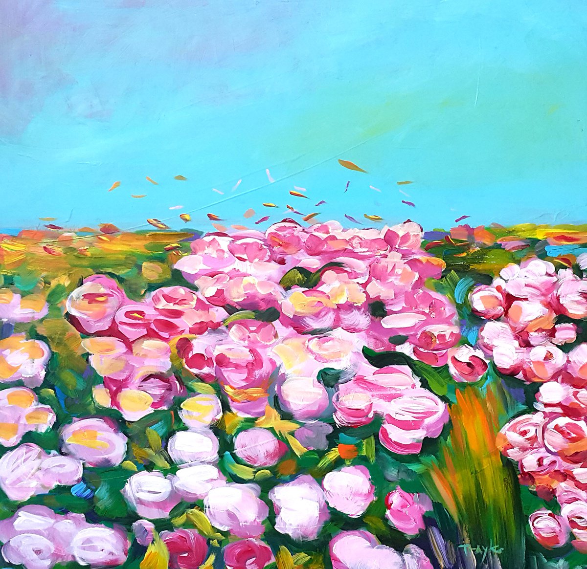 Scent of roses | Field of roses | Attar of Roses by Trayko Popov